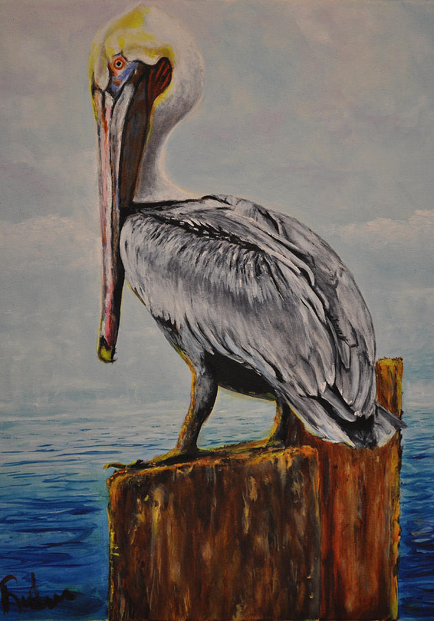 Pelican Painting - Da Pelican by Ruben Barbosa