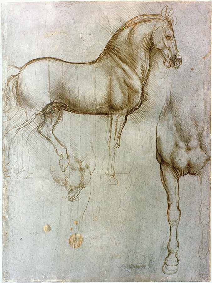 Da Vinci: Equestrian Study Photograph by Granger