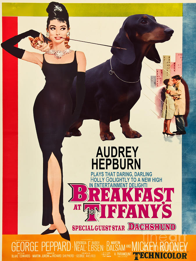 Dachshund Art Canvas Print - Breakfast at Tiffany Movie Poster Painting by Sandra Sij