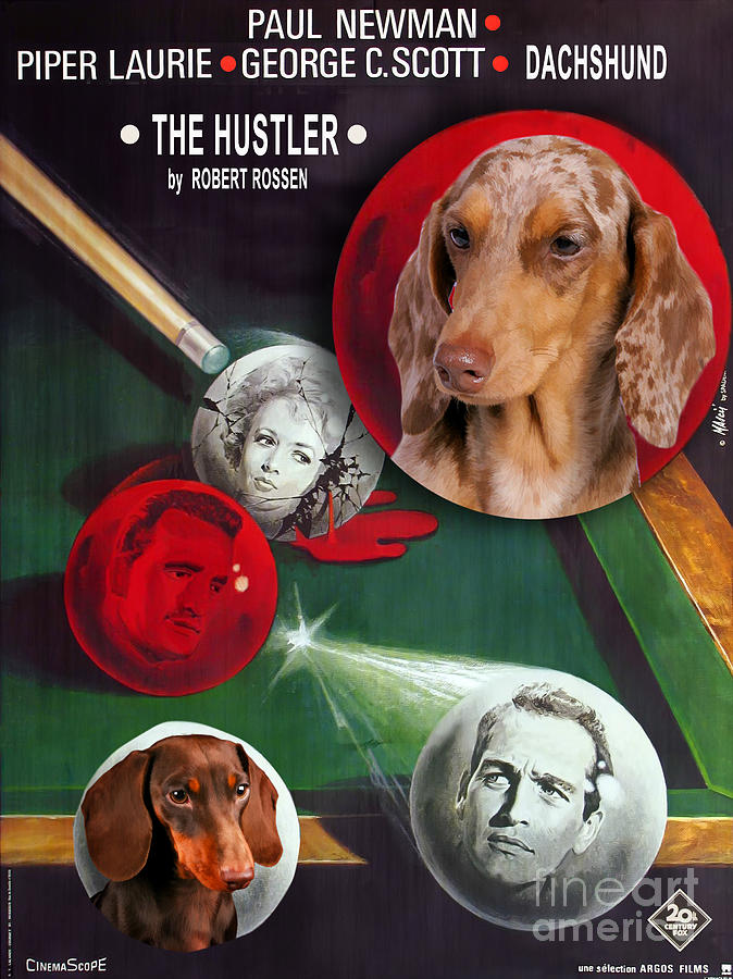 Dachshund Art Canvas Print - The Hustler Movie Poster Painting by Sandra Sij