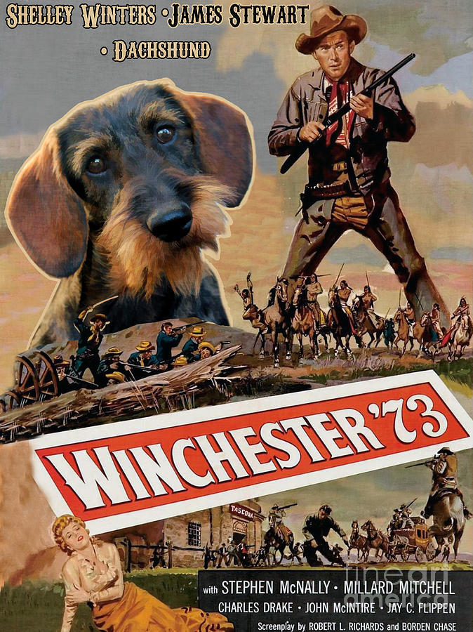 Dachshund Art Canvas Print - Winchester 73 Movie Poster Painting by Sandra Sij