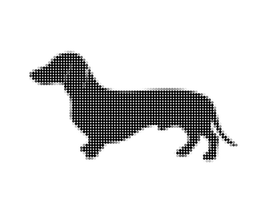 Dachshund - Dot Portrait Digital Art by Agus Shodikin - Fine Art America