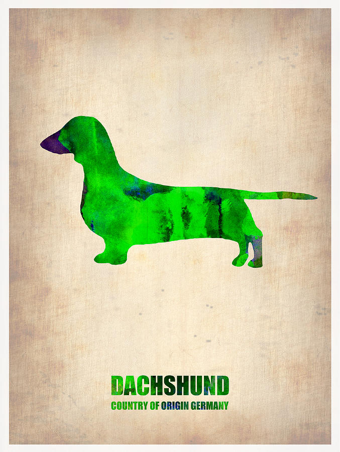 Dachshund Painting - Dachshund Poster 1 by Naxart Studio