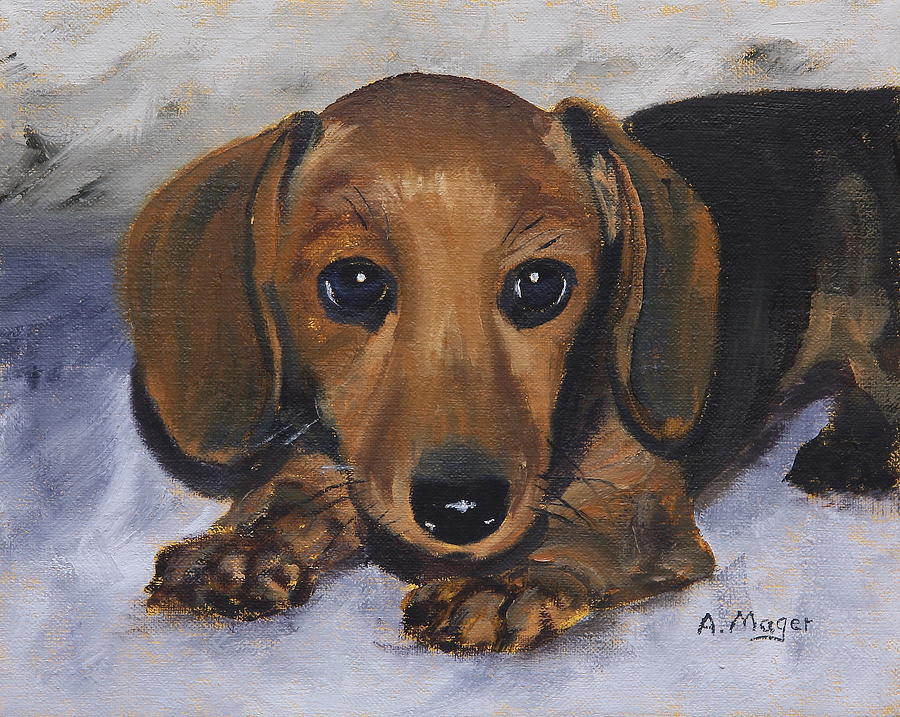 Dachshund Puppy Painting by Alan Mager