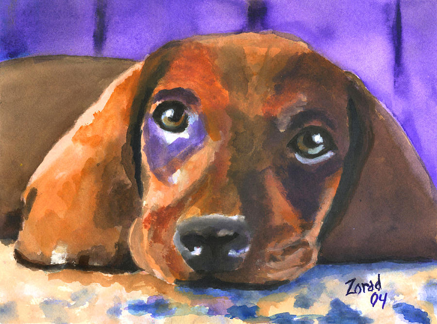 Dachshund Watercolor Painting by Mary Jo Zorad