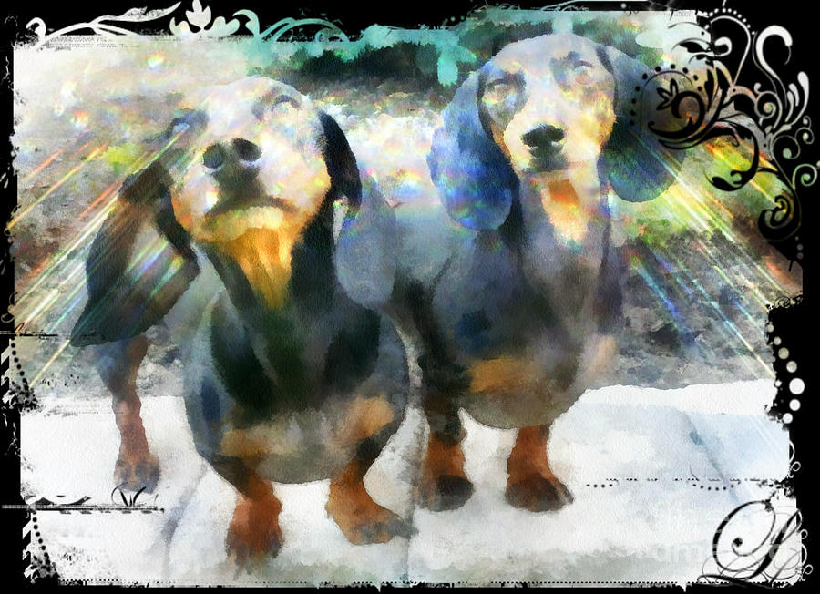 Dachshund Photograph - Dachsie Power by Betsy Cotton