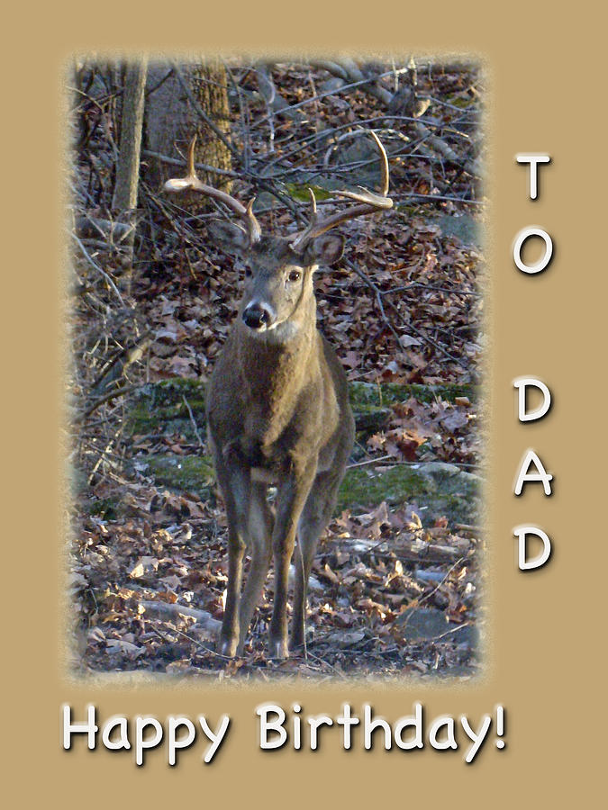 Dad Birthday Greeting Card - Whitetail Deer Buck Photograph by Carol Senske