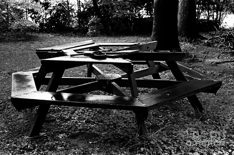 Dads Picnic Table Photograph by Tom Brickhouse