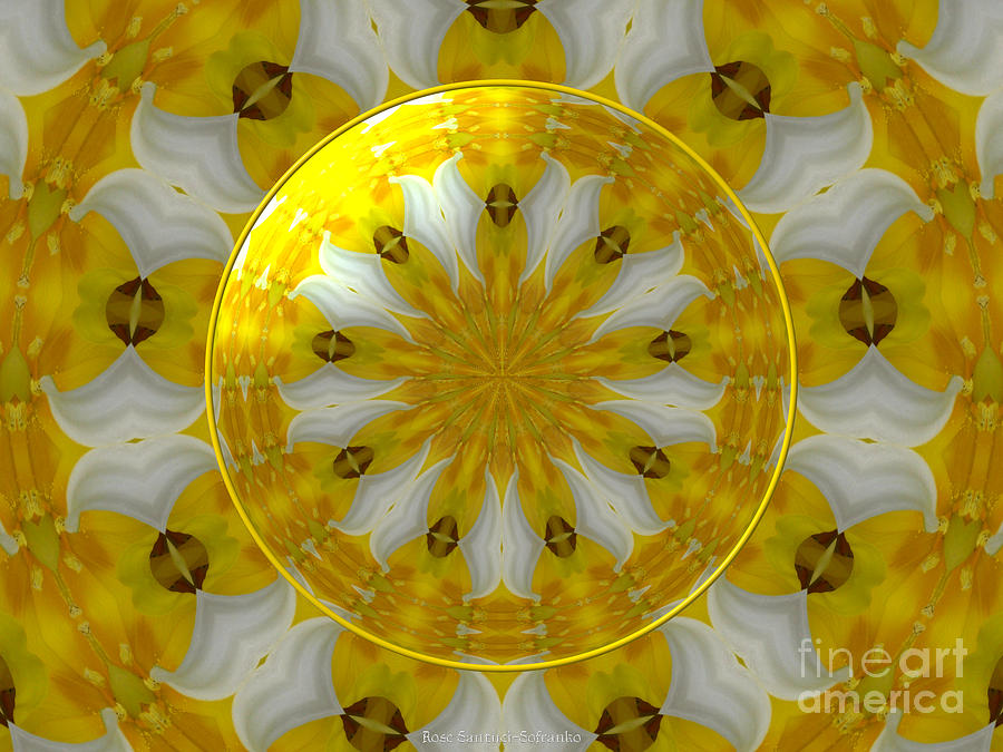 Flower Photograph - Daffodil and Easter Lily Kaleidoscope Under Glass by Rose Santuci-Sofranko