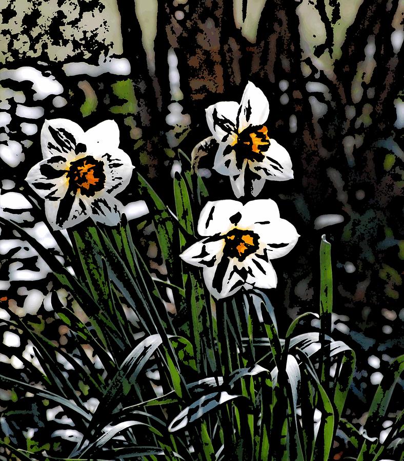 Daffodil Digital Art by David Lane