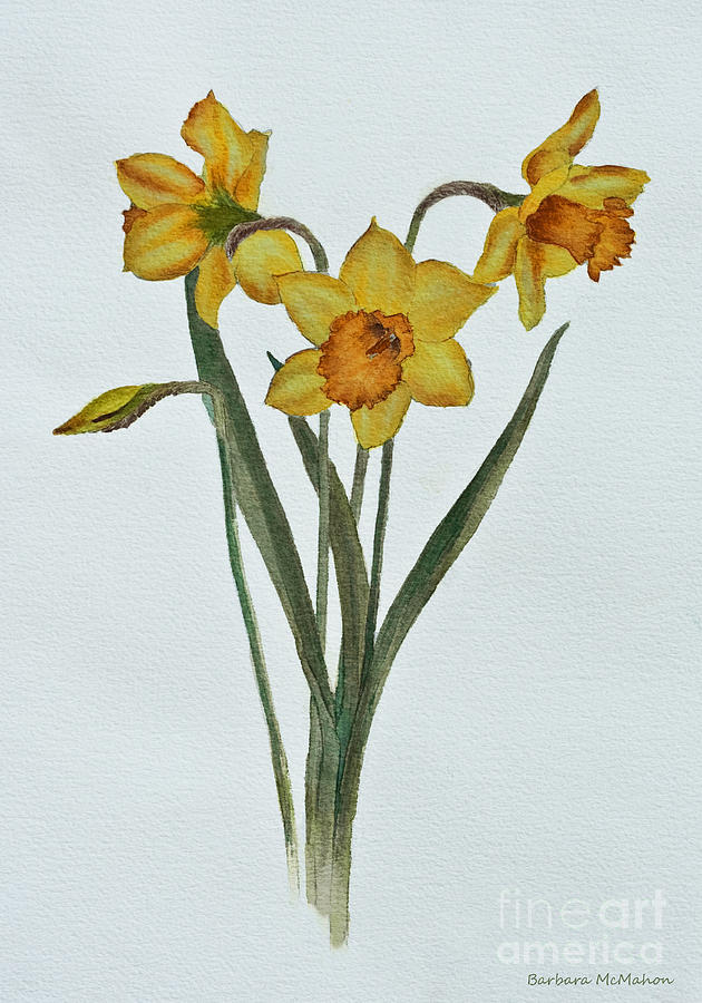 Daffodil Delight Painting by Barbara McMahon