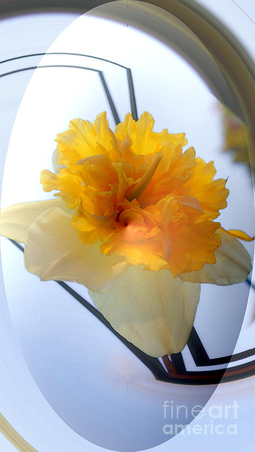 Flower Digital Art - Daffodil Double Bubble by Kim Pate