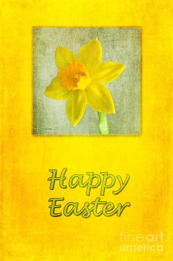 Daffodil Easter Photograph by Randi Grace Nilsberg