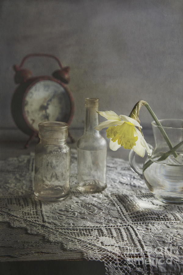 Still Life Photograph - Daffodil by Elena Nosyreva