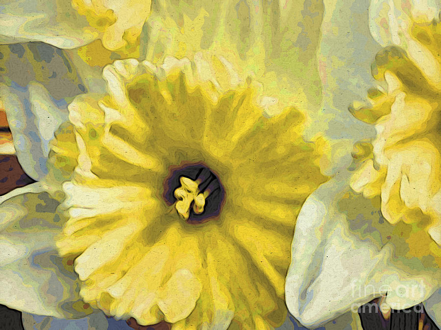 Daffodil  Painting by Jacklyn Duryea Fraizer