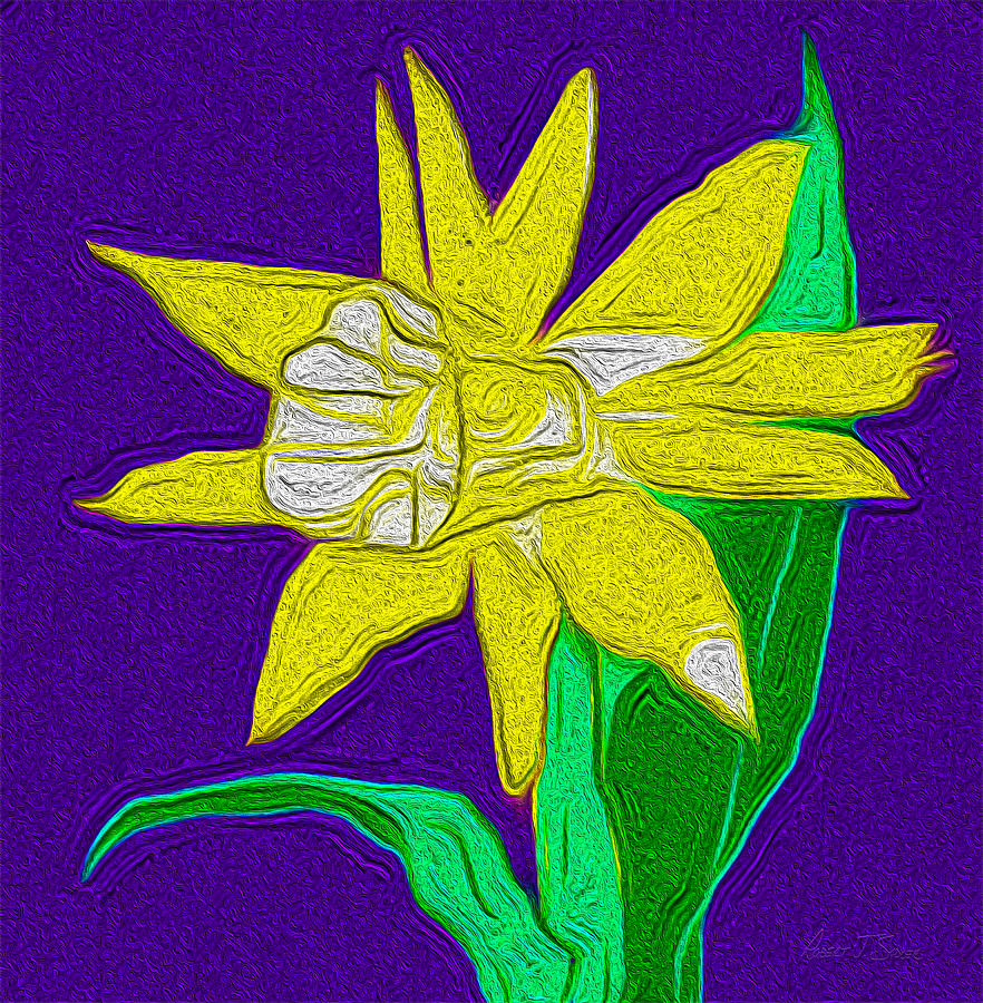 Daffodil - Narcissus Digital Art by Robert J Sadler