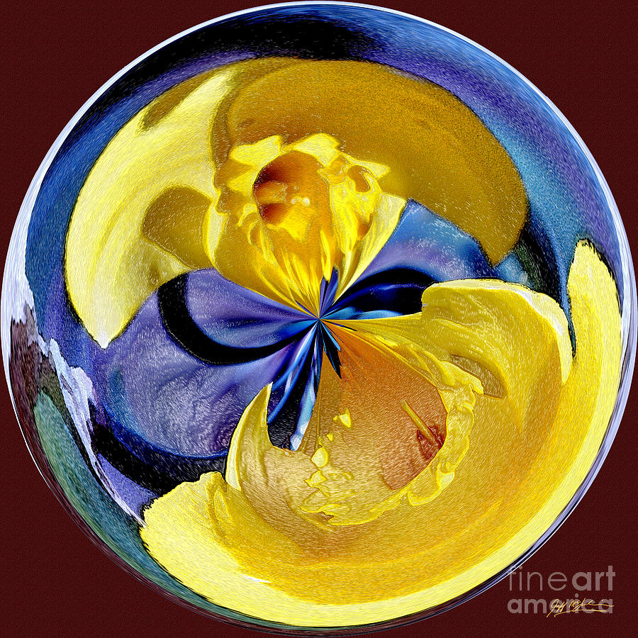 Still Life Photograph - Daffodil Orb by Jeff McJunkin