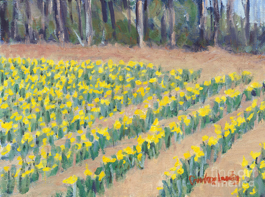 Daffodil Rows Painting by Candace Lovely