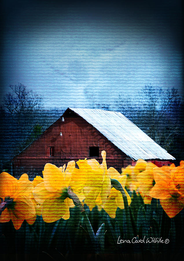 Daffodils And A Red Barn Photograph by Lena Wilhite