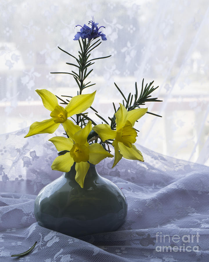 Daffodils and Rosemary in a Vase Photograph by MM Anderson