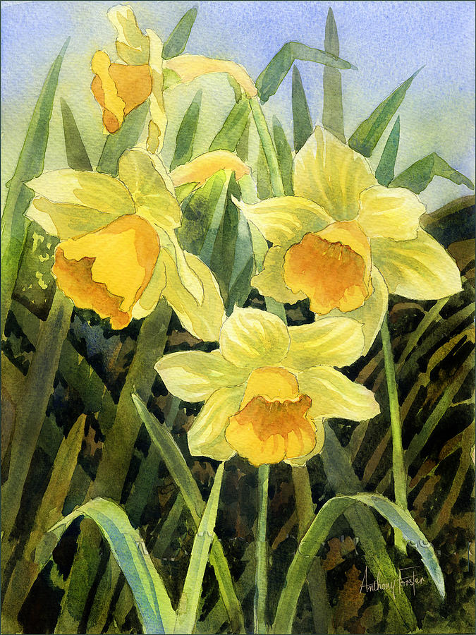 Daffodils Painting by Anthony Forster