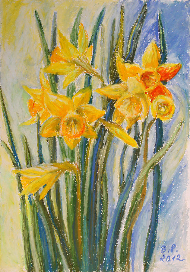 Daffodils Drawing by Barbara Pommerenke