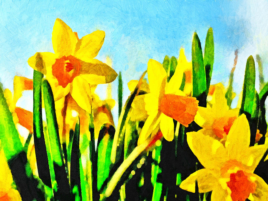 Daffodils by Morning Light Digital Art by Digital Photographic Arts