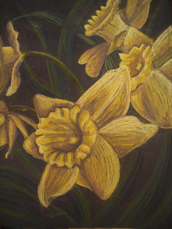 Flower Pastel - Daffodils  by Chelsea Allen