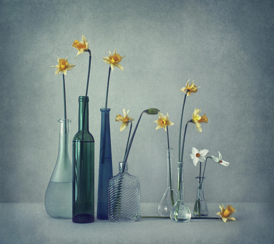 Still Life Photograph - Daffodils by Dimitar Lazarov -