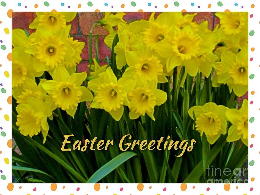 Daffodils Easter Greeting Photograph by Joan-Violet Stretch