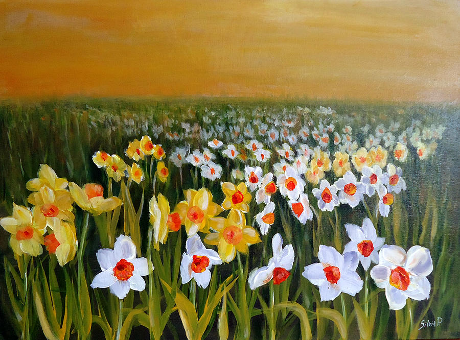 Daffodils field Painting by Silvia Philippsohn