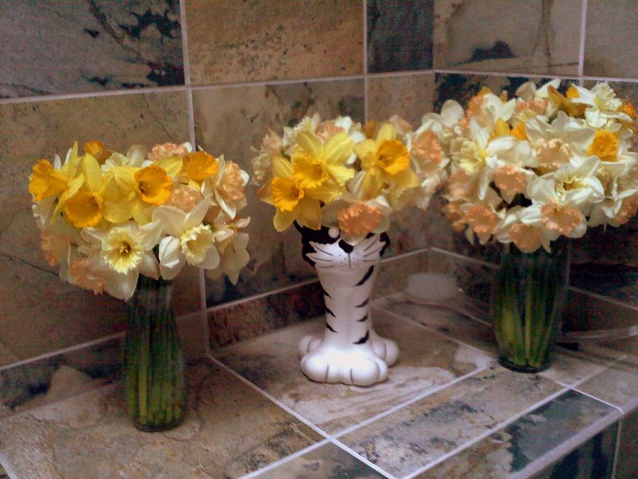 Daffodils Photograph by Gerry Smith