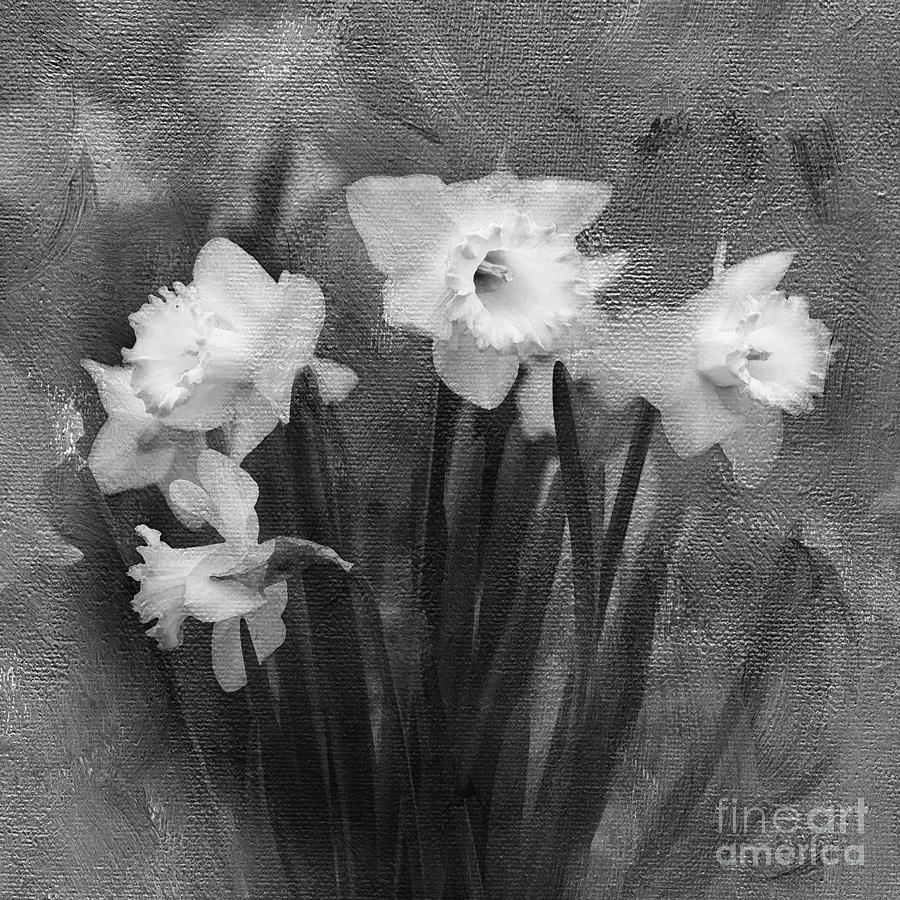 Daffodils in Black and White Photograph by Betty LaRue