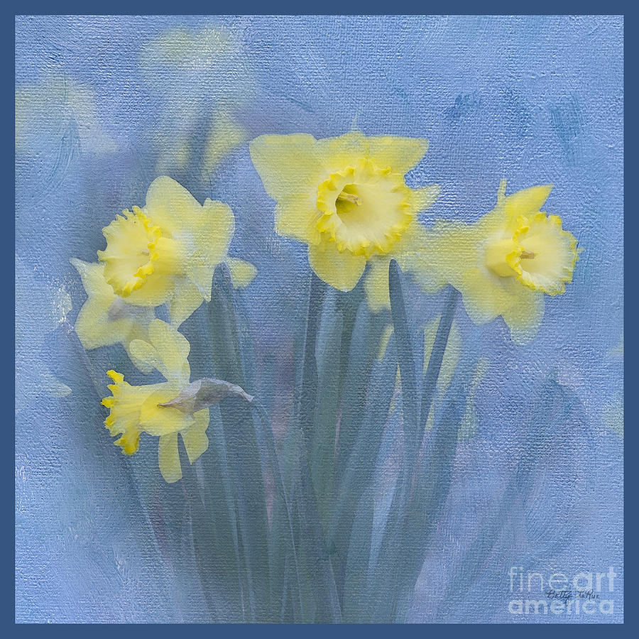 Daffodils in Blue Photograph by Betty LaRue