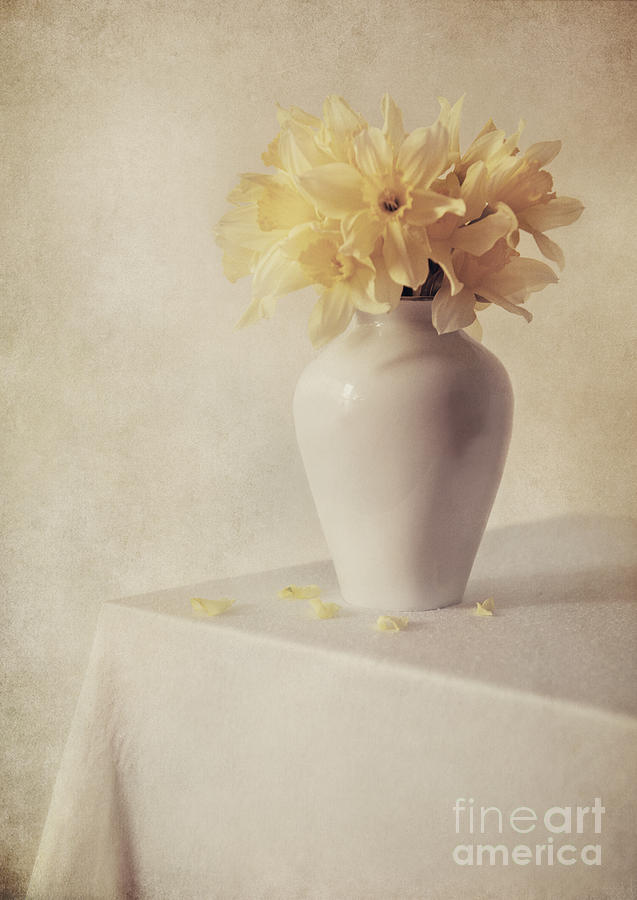 Daffodils in white flower pot on the table Photograph by Jaroslaw Blaminsky