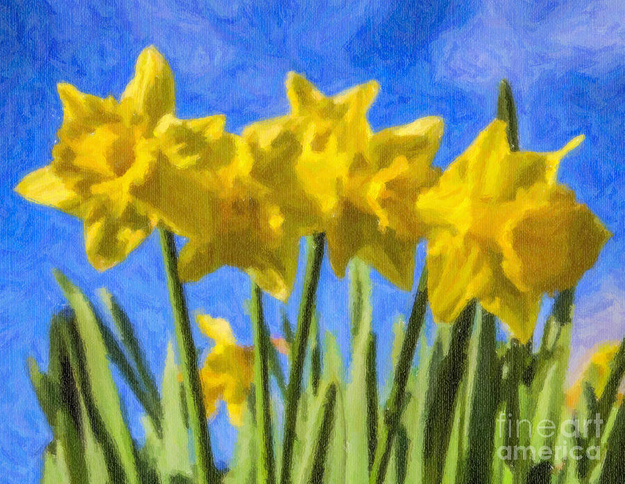 Daffodils Digital Art by Liz Leyden