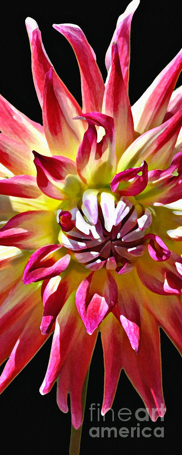 Dahlia Delight Center Panel  Painting by Diane E Berry