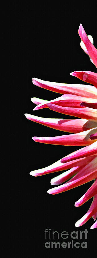 Dahlia Delight Left Panel Painting by Diane E Berry