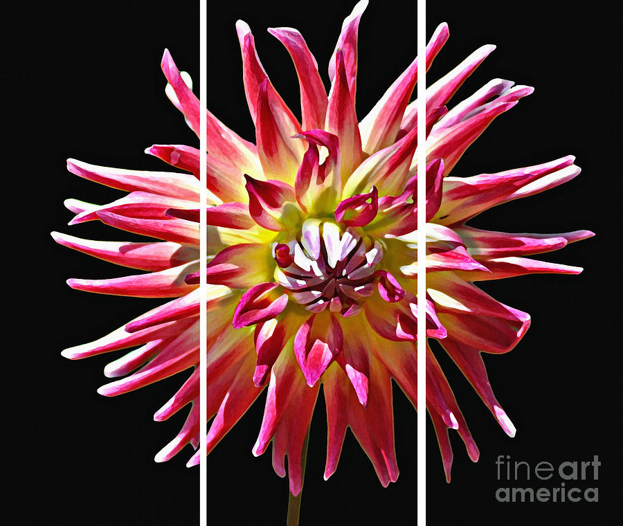 Dahlia Delight Whole Painting by Diane E Berry