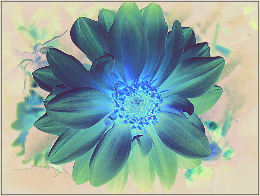 Dahlia in Midnight Blue - Pop Art Photograph by Dora Sofia Caputo