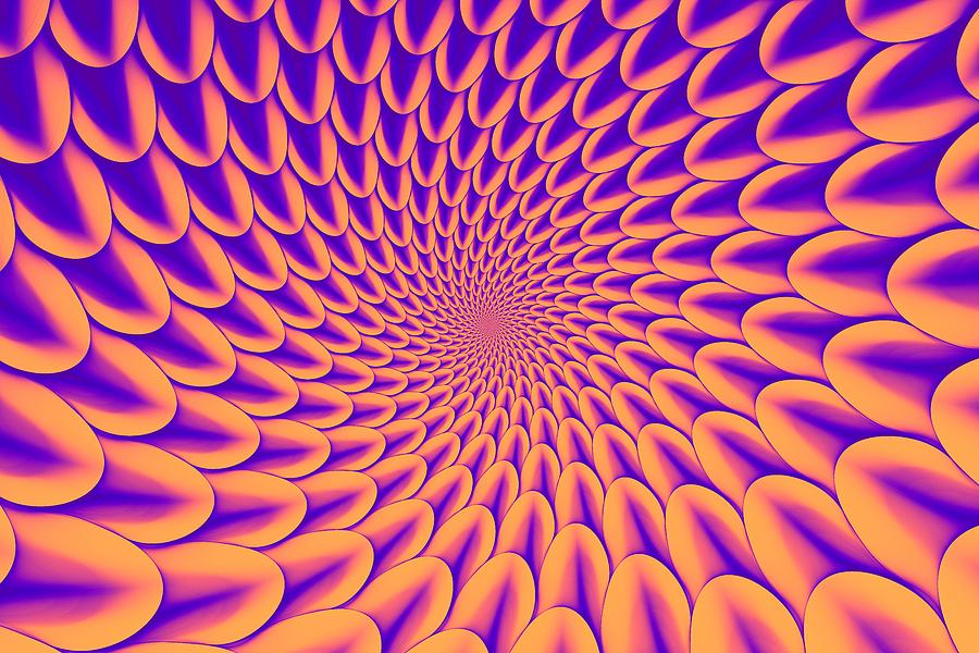Dahlia Melon - Violet Digital Art by Doug Morgan