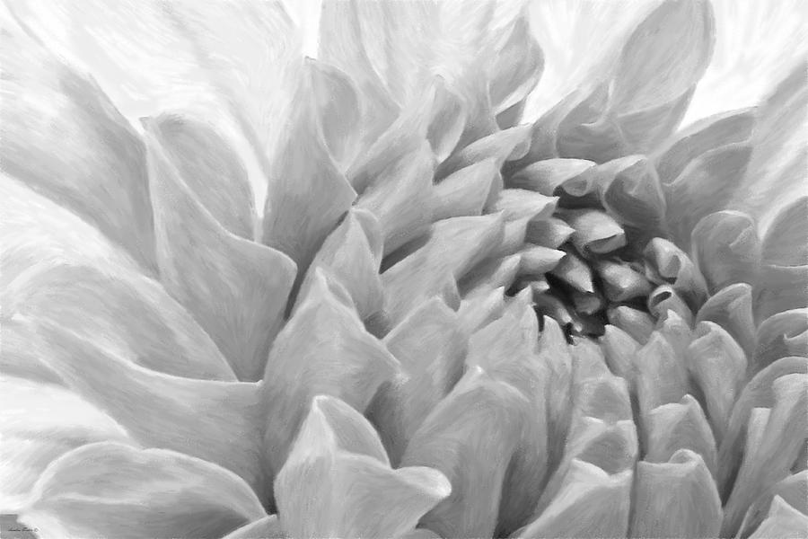 Dahlia Petals - Digital Pastel Art Work  Photograph by Sandra Foster