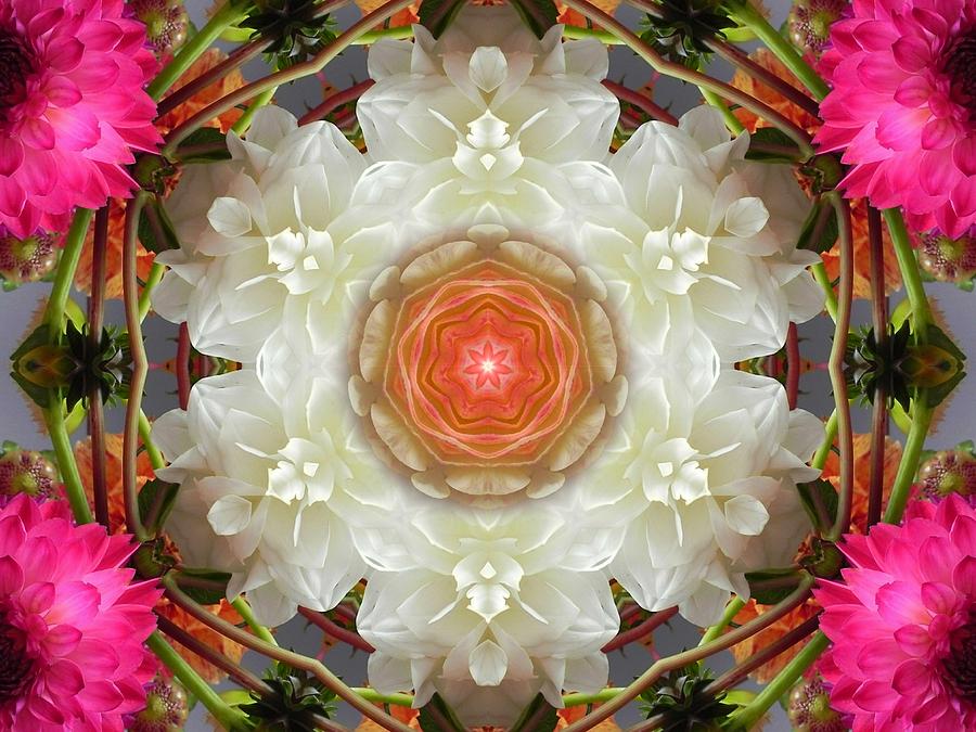 Dahlia Portal Mandala Digital Art by Diane Lynn Hix