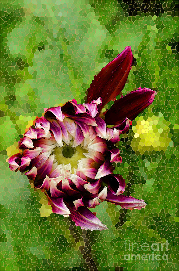 Dahlia with Stained Glass Background Digital Art by Eva Kaufman Fine