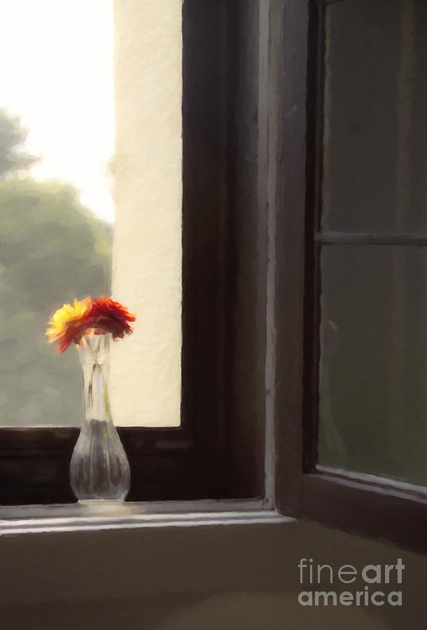 Flower Photograph - Dahlias in the Window by Diane Diederich