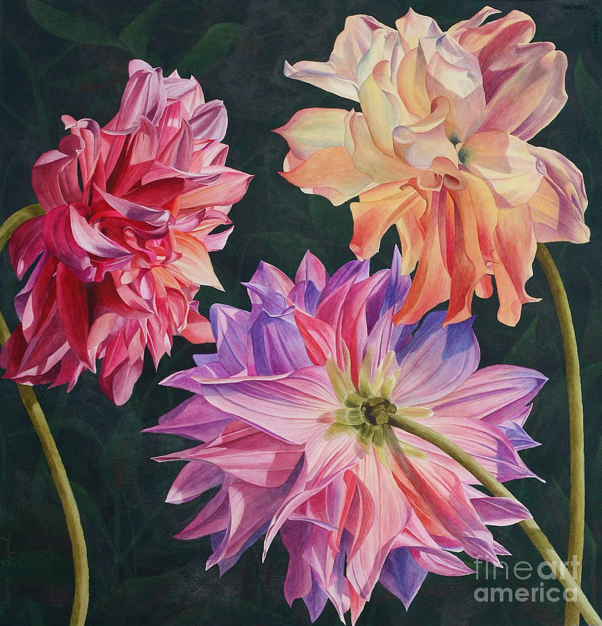 Flower Painting - Dahlia Trio by Tamara Oppel