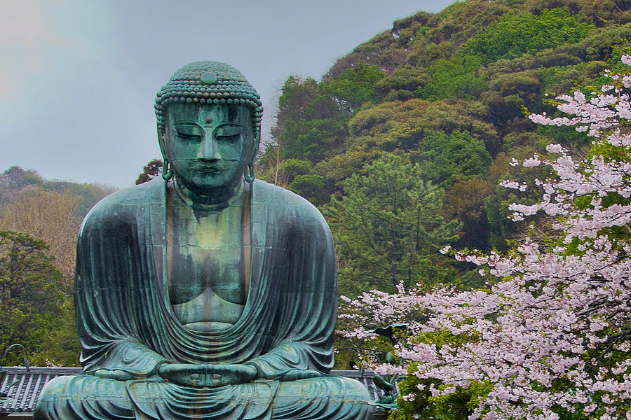 Daibutsu Buddha Photograph by Alan Toepfer - Fine Art America