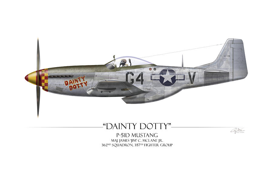 Airplane Painting - Dainty Dotty P-51D Mustang - White Background by Craig Tinder