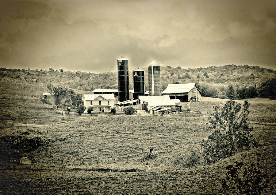 Black And White Photograph - Dairy Farm by Denise Romano