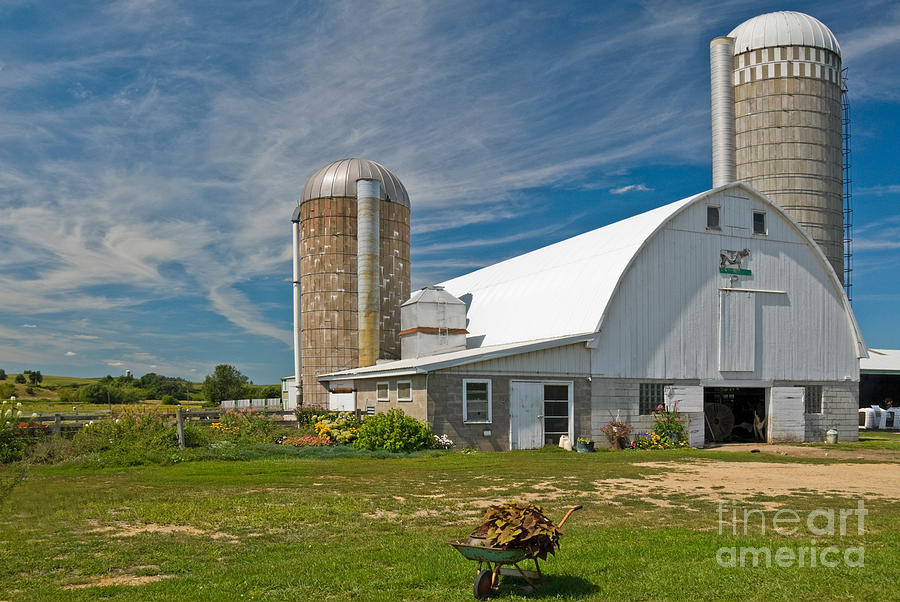 Dairy Farm Photograph by Richard and Ellen Thane
